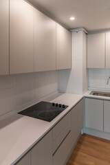 The interior of the renovated kitchen in the apartment