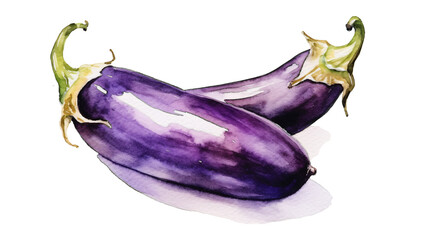 aubergine in watercolor painting design isolated against transparent background