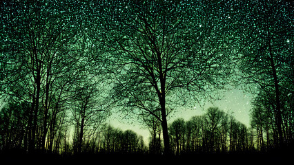 trees-silhouetted-against-a-full-moon-a-smattering-of-stars-peppering-the-indigo-night-sky-a-gentl