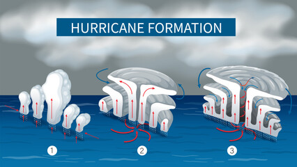 Illustration showing the process of hurricane formation - obrazy, fototapety, plakaty