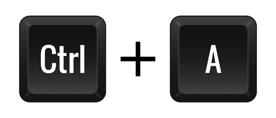 CTRL A Key combination. Keyboard, control, computer, shortcut, laptop, functional, input device, peripheral, enter the text, typing, type, hotkeys, layout, language, qwerty, select all. Vector
