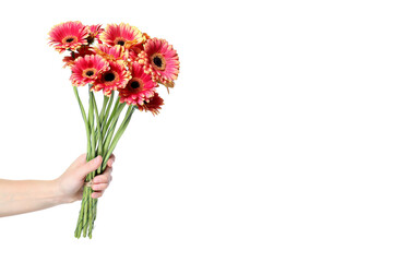PNG, pink flowers, isolated on white background.