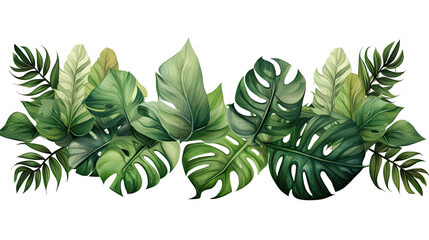 Compotition of tropical leaves on transparent background for advertising.png