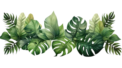 Tuinposter Monstera Compotition of tropical leaves on transparent background for advertising.png