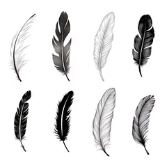 Deurstickers Veren Bird Feather Hand Drawn Illustration Isolated on White Background, Elegance Curly Bird Feather