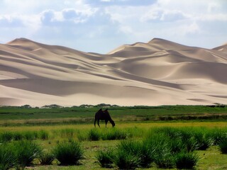 Obraz premium Southern Mongolia