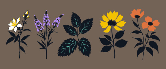 Set of leaves silhouette of beautiful plants, lavander, mint, calendula, jasmine.