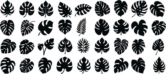 Monstera leaf silhouette, tropical leaf collection, black Monstera silhouette on white background, ideal for nature-inspired designs, wallpapers, textiles © Arafat