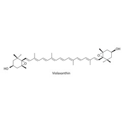 Violaxanthin skeletal structure diagram.Caratenoid compound molecule scientific illustration on white background.