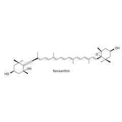 Neoxanthin skeletal structure diagram.Caratenoid compound molecule scientific illustration on white background.