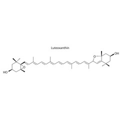Luteoxanthin skeletal structure diagram.Caratenoid compound molecule scientific illustration on white background.