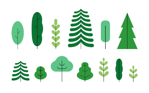 Forest trees set. Green plants, natural botanical floral elements collection. Fir conifer and leaf vegetations in modern simple style. Abstract flat vector illustrations isolated on white background