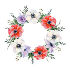 Red, white and purple field flowers and herbs round wreath frame watercolor isolated illustration. Anemones poppies with eucalyptus template for greeting cards, logos, spring wedding invitations