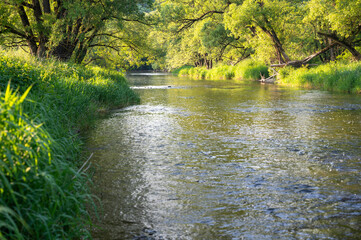 River landscape - A river  in a green landscape