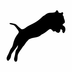 silhouette of a black tiger jumping