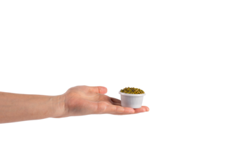 Mung beans in white cup on transparent background