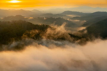 Nationalpark sächsische Schweiz Bilder aus dem Elbsandsteingebirge