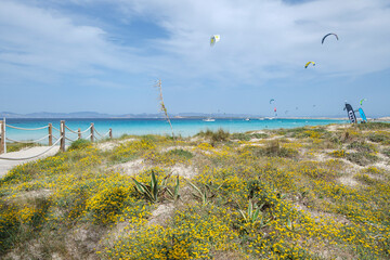 kitesurfing on Illete beachFormentera, Pitiusas Islands, Balearic Community, Spain