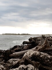 Fototapeta premium Delta del PO