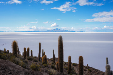 Cacti and Mountain Skies above a never-ending Salt Flat - Salar de Uyuni, Bolivia 