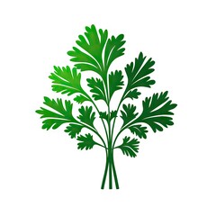 Green Parsley Icon, Coriander Leaf Silhouette, Greens Leave Flat Icon Isolated on White Background
