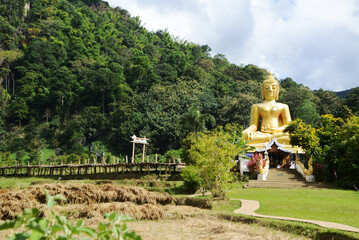 Phra Chao Ton Luang is a large golden outdoor Buddha statue. Sitting prominently in the middle of the rice field Inside Wat Nakhuha there are beautiful natural places.