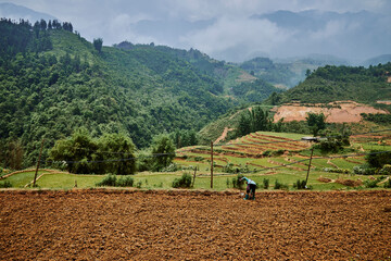 village rice fields in mountains in sapa, vietnam - 747084520