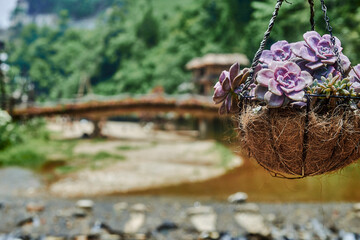 river and flowers in a traditional village in sapa, vietnam - 747084764