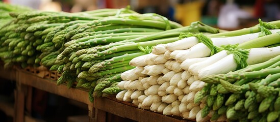 A variety of fresh green and white asparagus are neatly arranged on a table at an organic fruit market stall. The vibrant colors and textures of the vegetables make for a visually appealing display.
