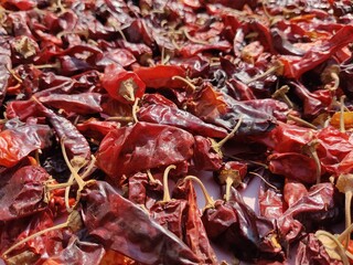 Dried hot organic red chili pepper