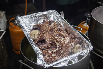 Cooked octopus - 747087528