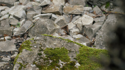 Green moss on stones close-up. Old stones. Rock