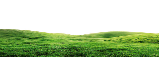 green grass field isolated on transparent or white background for display products
