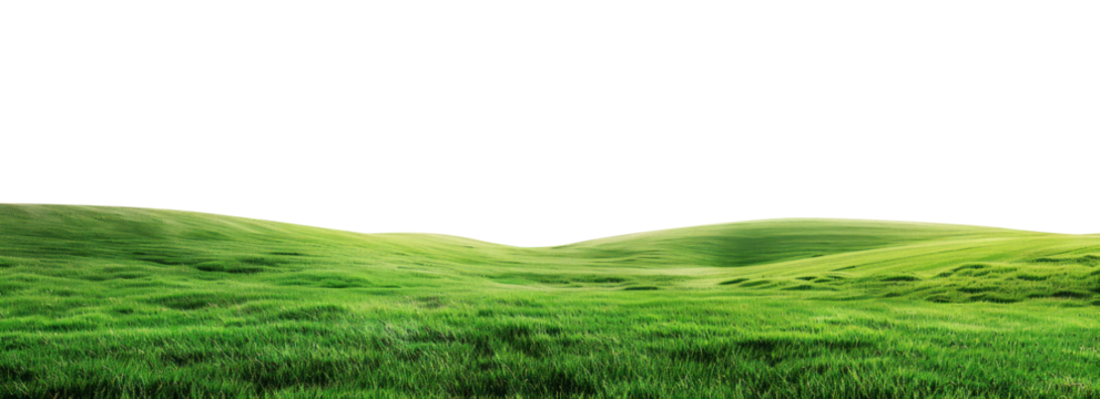 green grass field isolated on transparent or white background for display products