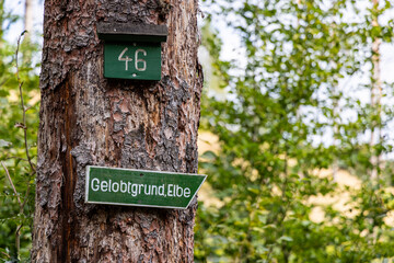 Nationalpark sächsische Schweiz Bilder aus dem Elbsandsteingebirge