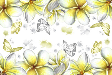 A frame with plumeria, a border of exotic tropical fragrant frangipani flowers. Hand-drawn watercolor illustration. For packaging banners and labels. For posters, flyers, greeting and invitation cards