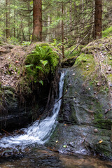 Nationalpark sächsische Schweiz Bilder aus dem Elbsandsteingebirge