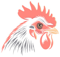 vector illustration of a rooster without background