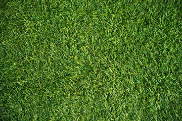 Papier Peint photo Lavable Prairie, marais green  artificial turf  field look like grass