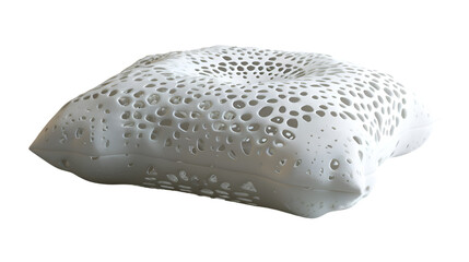 Obraz premium A modern cushion featuring a sophisticated lace-like motif, placed elegantly on a sleek, Transparent background