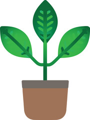 A plant in the pot with the big leaves. a plant with three green leaf growth in the clay vector art illustration design
