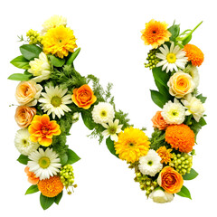 Floral Alphabet Letter N, Flowers Bouquet Isolated on Transparent Background