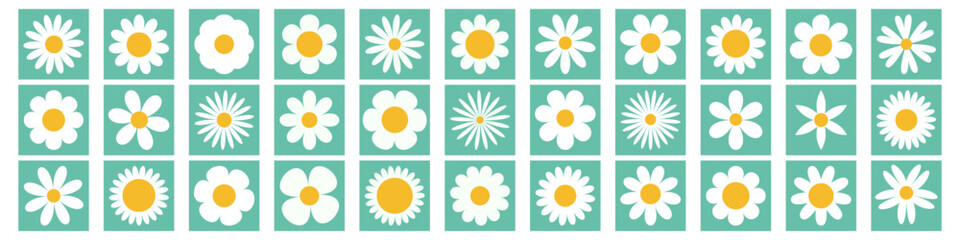 Daisy chamomile super big set. White camomile square icon. Growing concept. Cute round flower plant collection. Love card. 33 sign symbol shape. Flat design. Isolated. Green background. - 747115595