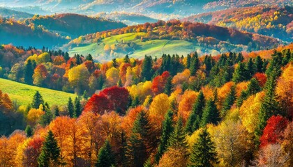 top view, Overhead colorful mixed autumn forest aerial background, made directly from above 