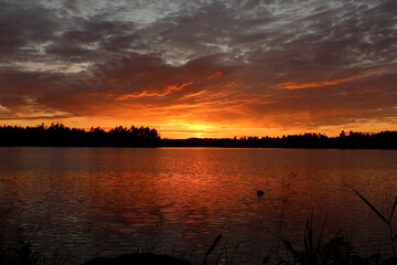 Magical sunset on a lake in forest