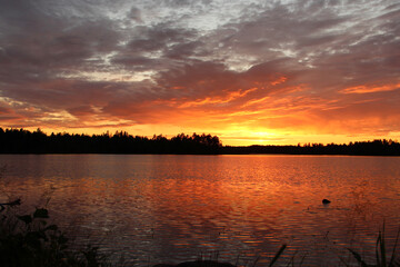 Obraz premium Magical sunset on a lake in forest