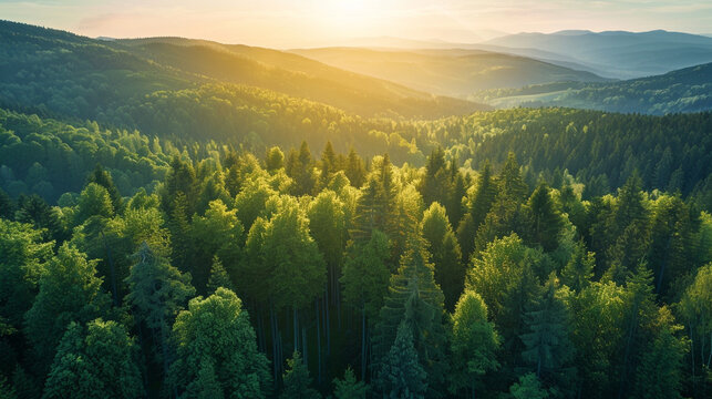 A carbon offset platform offering a range of carbon reduction projects including reforestation initiatives energy efficiency upgrades and methane capture projects providing diverse