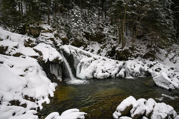 Winter river on the edge of the forest in the Ukrainian Carpathians