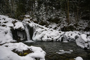 Winter river on the edge of the forest in the Ukrainian Carpathians