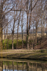 Urban landscape with trees and water